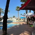 Langosta Petite Premium Apartamento *